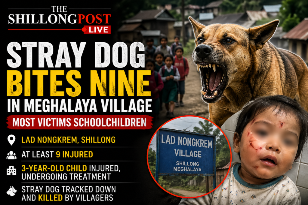 Stray Dog Bites Nine in Meghalaya Village, Several Children Injured