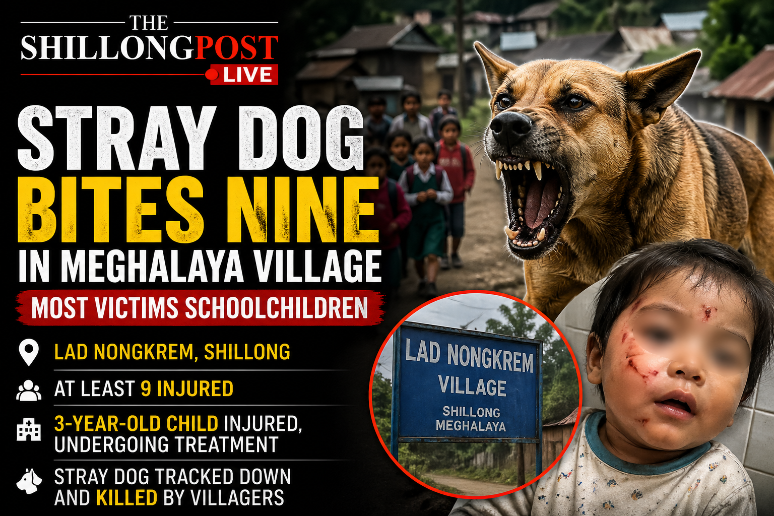 Stray Dog Bites Nine in Meghalaya Village, Several Children Injured